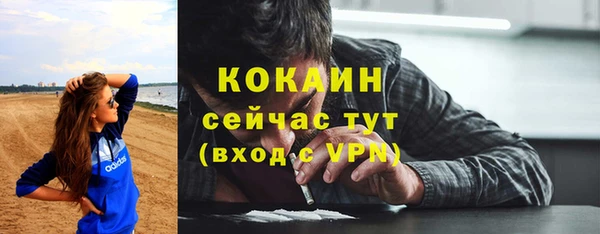сатива Кинешма
