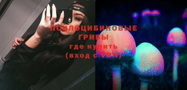 сатива Кинешма